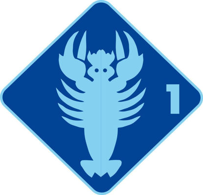 Bild von Schwimmkurs Krebs (ab 4 Jahren)