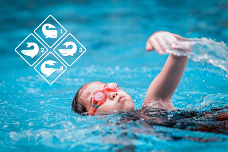 Picture for category Aufbau Schwimmen
