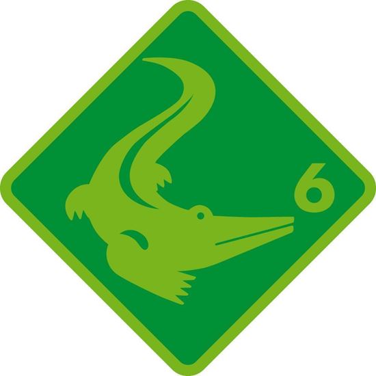 Image sur Intensiv Schwimmkurs Krokodil